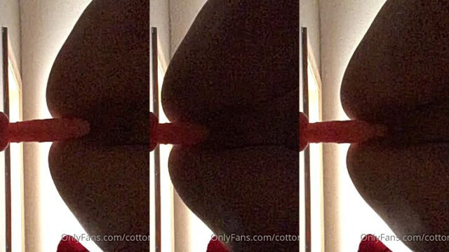 CottontailVA Dildo onlyfans leaks