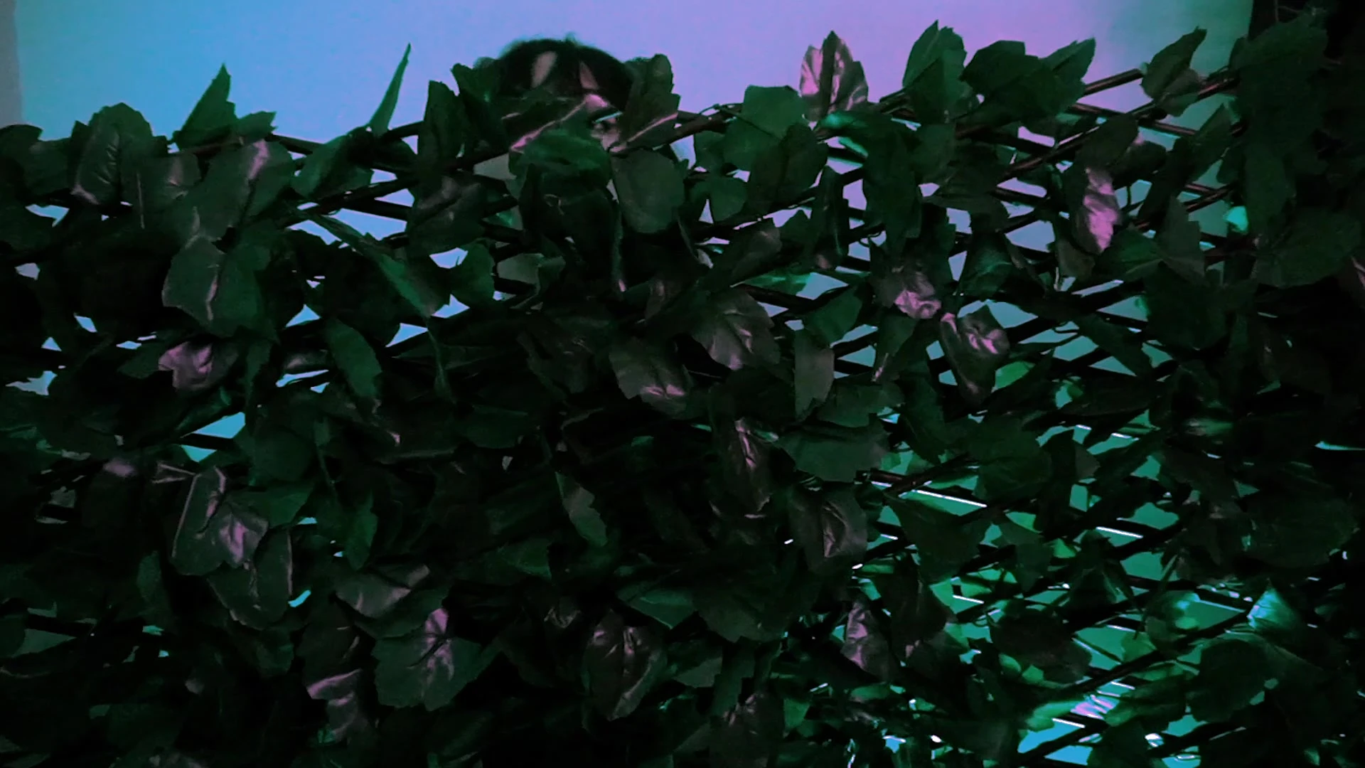 hot nasty freaky slut sneaked into a stranger house and gag his huge cock during halloween